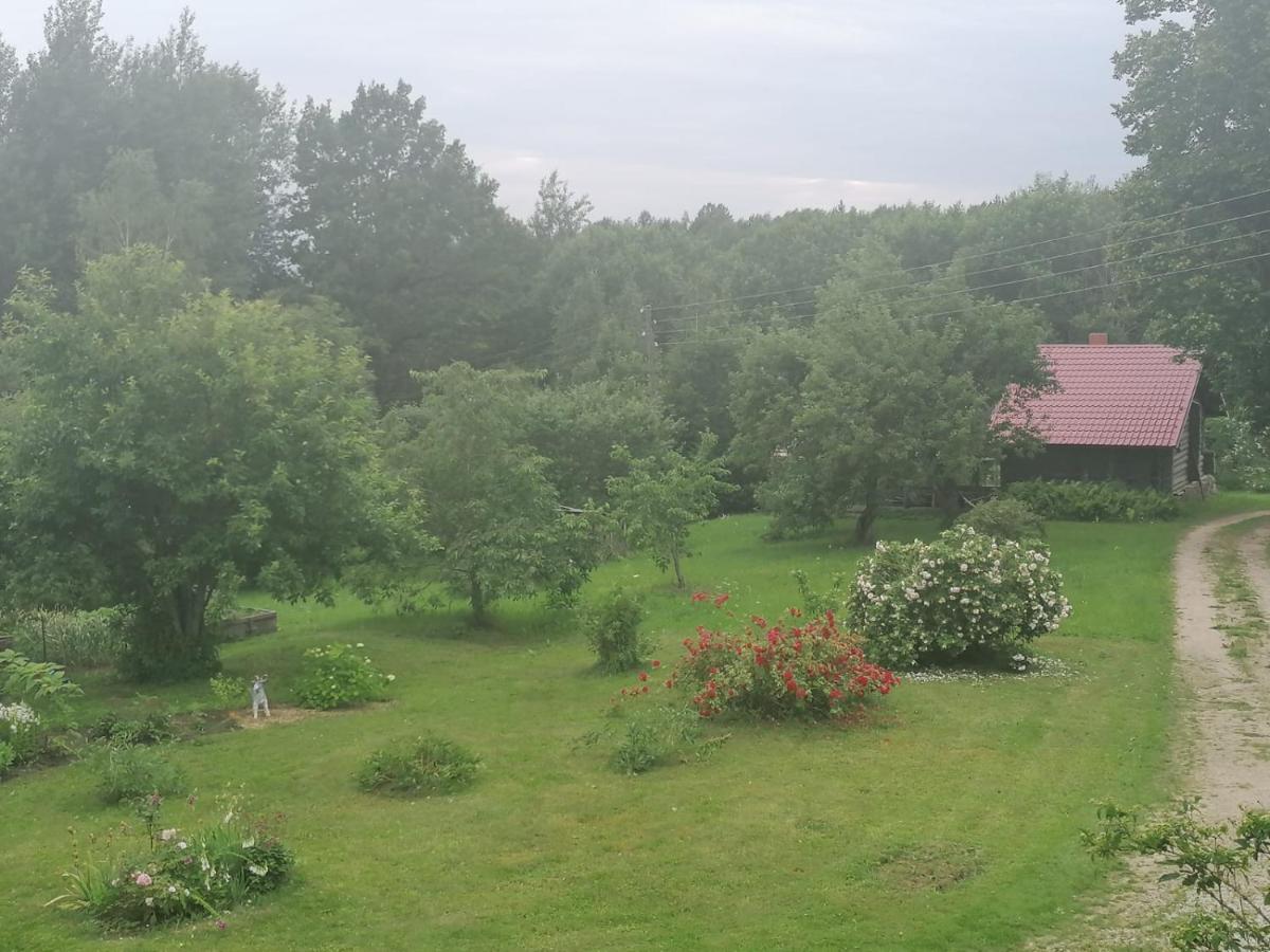 Country House Podini Appartement Mālpils Buitenkant foto