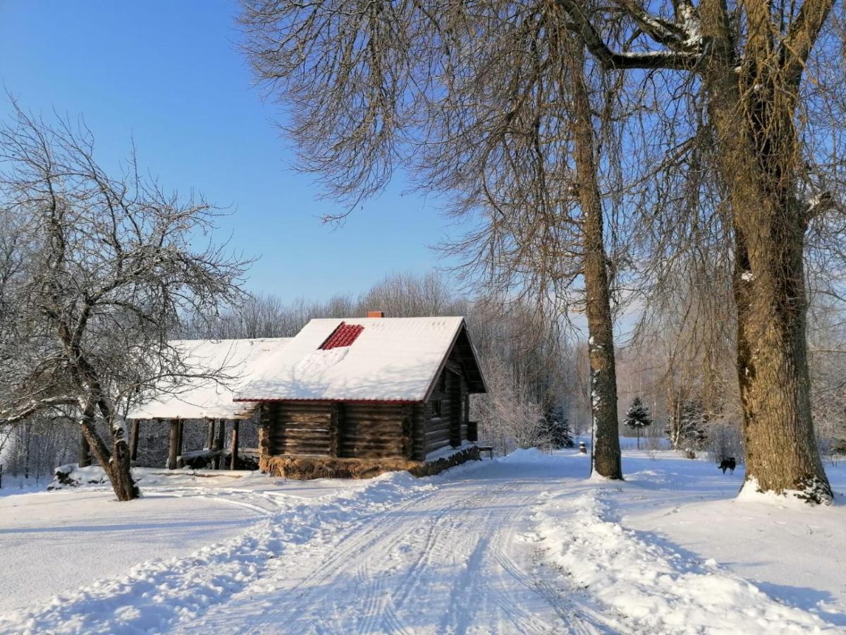 Country House Podini Appartement Mālpils Buitenkant foto
